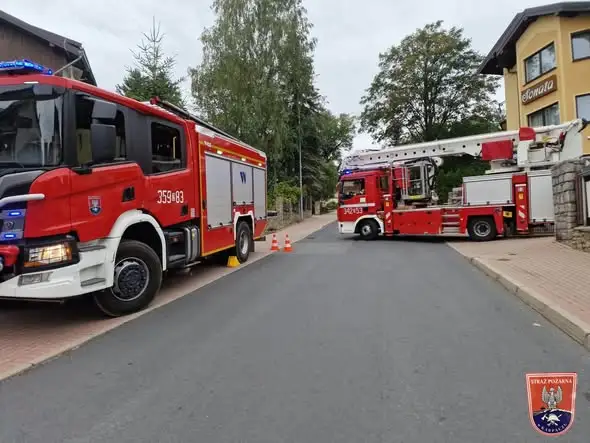 Pęknięte drzewo w Karpaczu. Interweniowały zastępy OSP i PSP