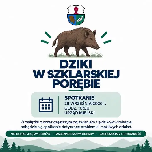 Dziki w Szklarskiej Porębie – miasto organizuje spotkanie w sprawie bezpieczeństwa