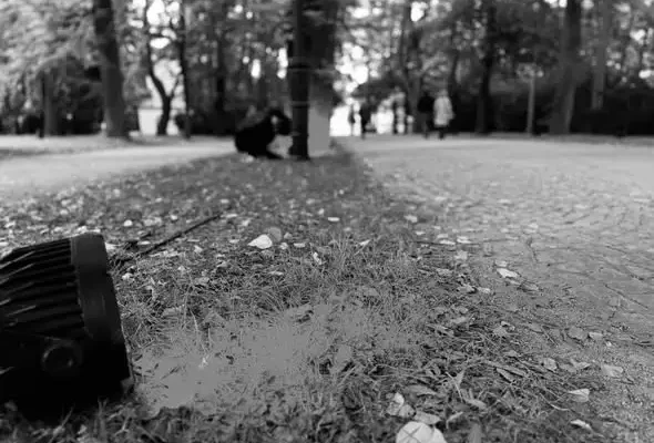 Wonderland – Festiwal Światła w Cieplicach: trwają przygotowania