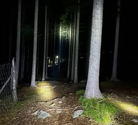 Poszukiwania osoby w kryzysie emocjonalnym w Karpaczu – akcja służb