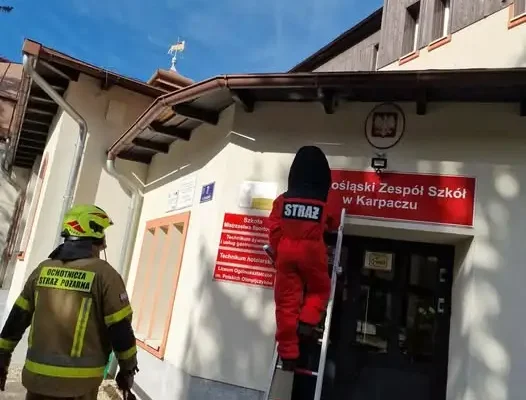Karpacz: strażacy usunęli gniazdo os z Dolnośląskiego Zespołu Szkół