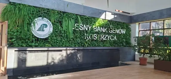 Leśna przygoda drugoklasistów ze Szkoły Podstawowej w Mysłakowicach