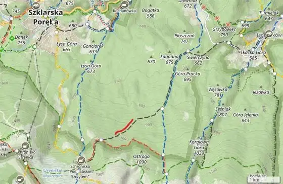 Prace leśne na czarnym szlaku w Karkonoszach – utrudnienia do 9 października
