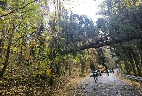 Trzy interwencje OSP Podgórzyn po wichurze