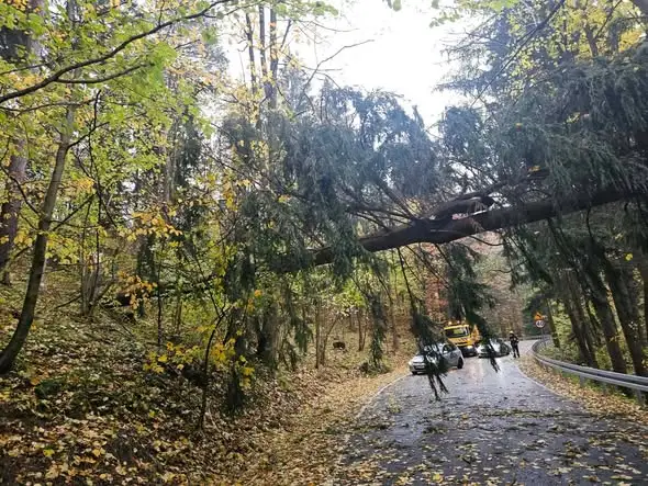 Trzy interwencje OSP Podgórzyn po wichurze
