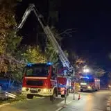 Sarna uwięziona w ogrodzeniu w Karpaczu – interwencja OSP